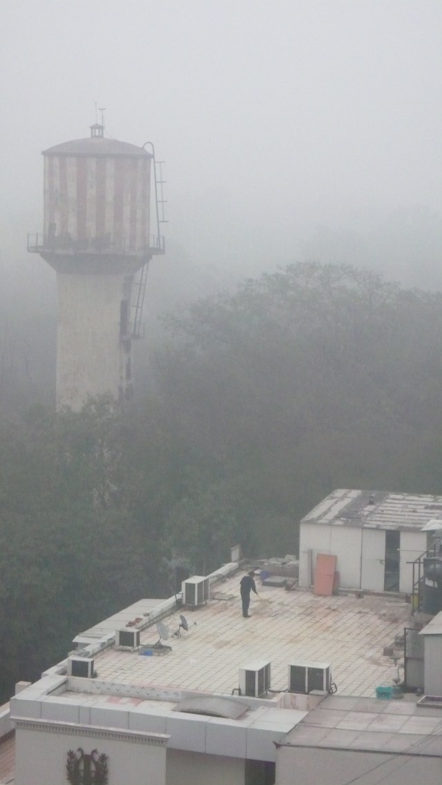Delhi_2012-01-17-1 De ma fenêtre, New Delhi © Helen Doyle 2012