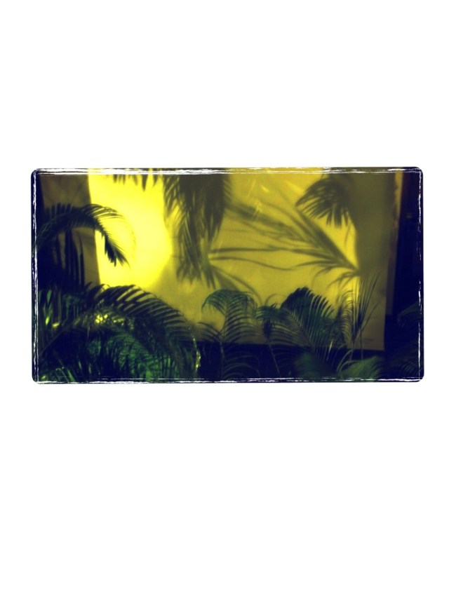 Soleil et ombres -pour John et Tarik   