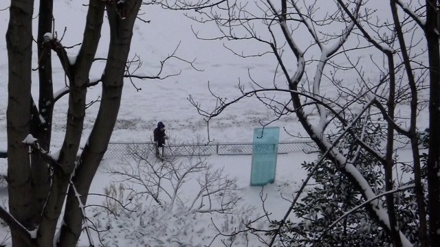 Un jour en janvier, Parc Villemin, Paris © Helen Doyle 2013