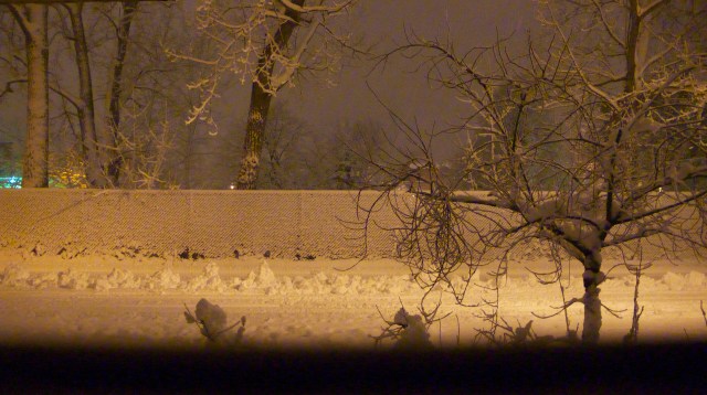 Il neigeait à Longueuil © Helen Doyle 21012