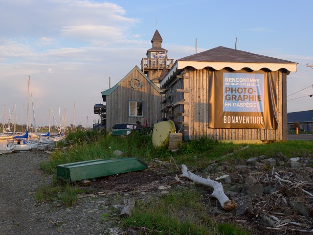 Bonaventure © Helen Doyle 2013 Bonaventure © Helen Doyle 2013