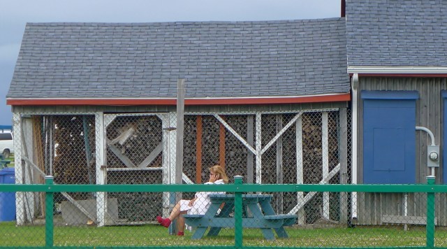 un matin © Helen Doyle 2013 P1050594