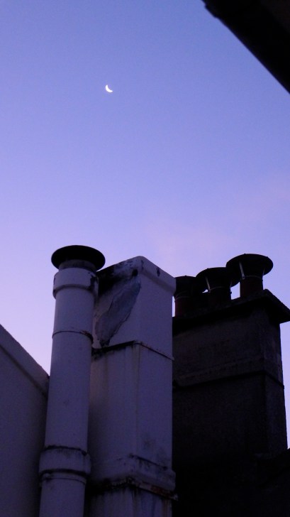 Ciel mon Paris! © Helen Doyle P1030047