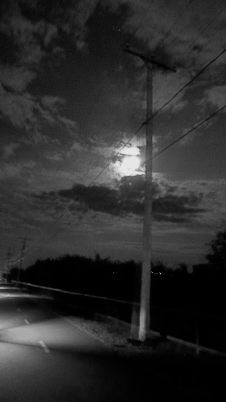 Fin de jour © Helen Doyle 2013 Fin de jour © Helen Doyle 2013 P1050556