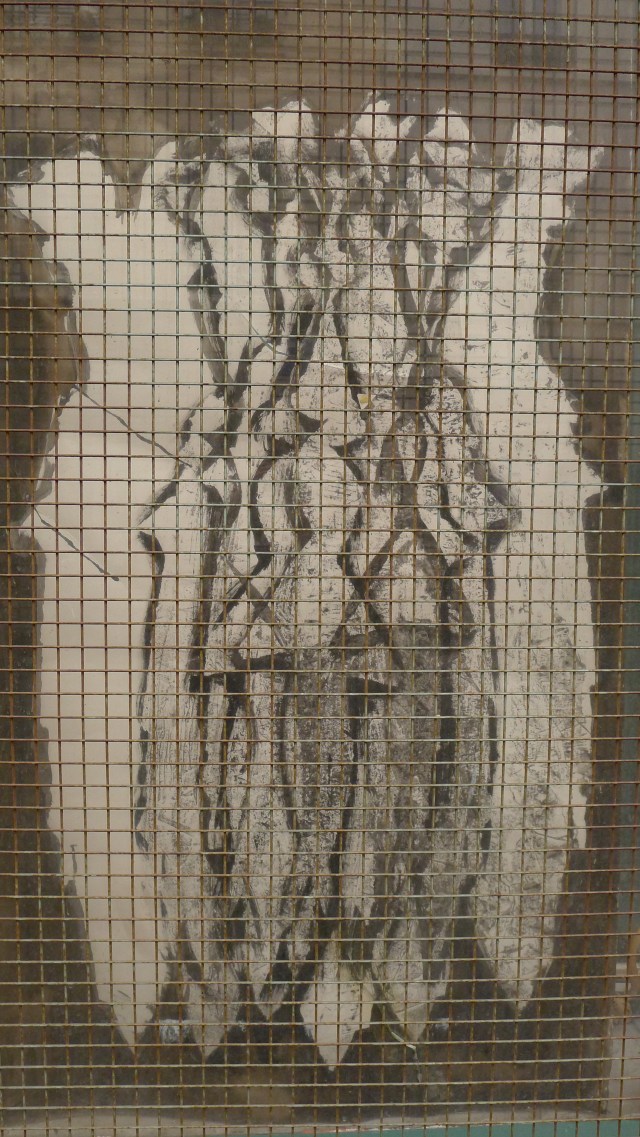 Mémoire d'Avignon... © Helen Doyle 2013 P1070366