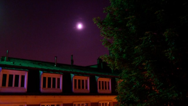 Luna de Monteverde 4 © Helen Doyle 2013 (P1070459)