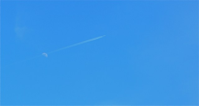 © Helen Doyle 2014 P1080163