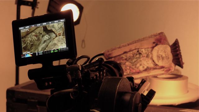 L'artiste dans son for / fort intérieur. Tournage © Helen Doyle 2014 P1070816