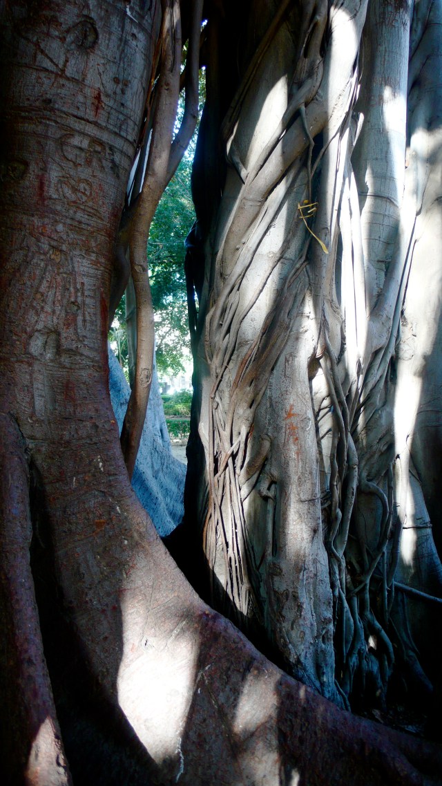 Palerme © Helen Doyle Palerme © Helen Doyle (P1030006)