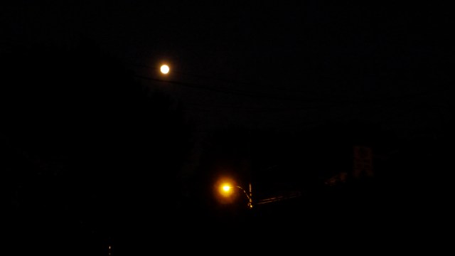 dans la nuit Nuit © Helen Doyle